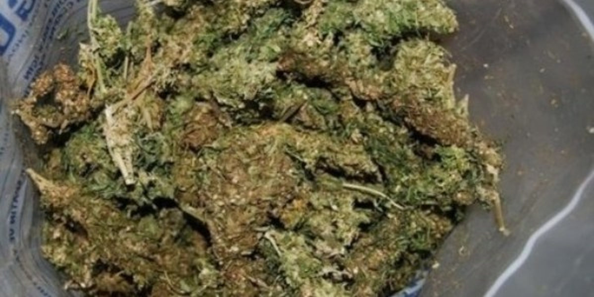 Otomobilde 50 Gram Esrar Ele Geçirildi