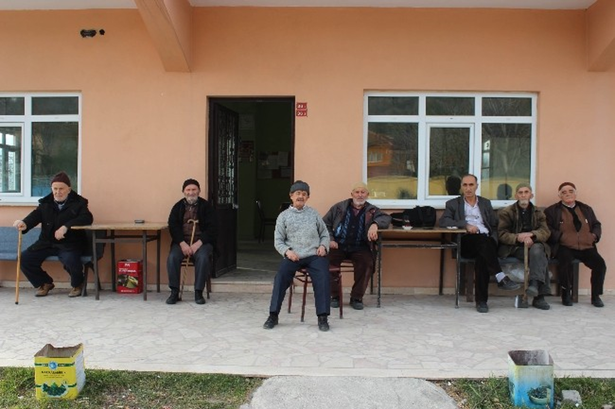 Sakarya\'da Orman Yangını