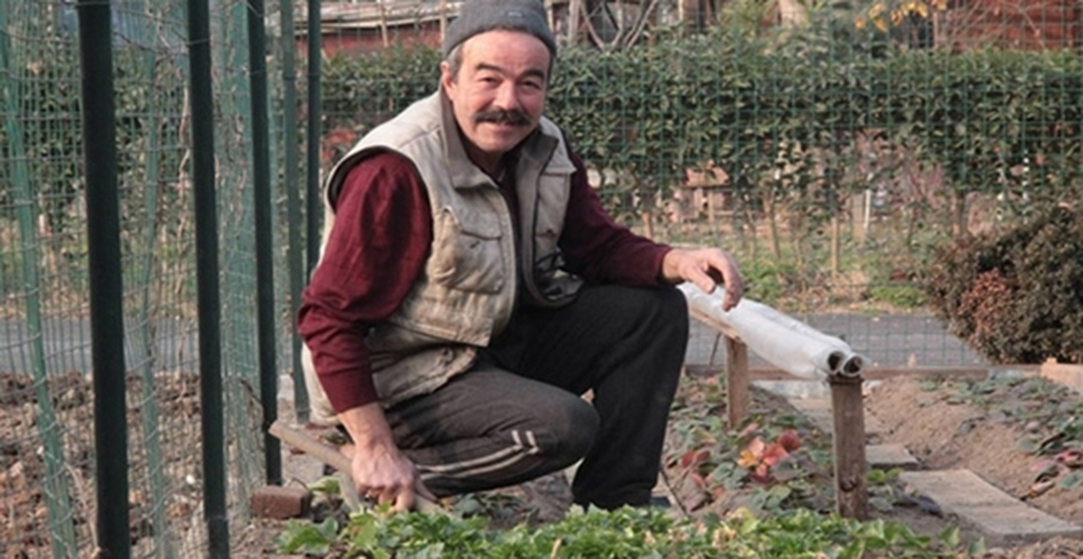 Köy Hayatını Yaşamak İçin Para Veriyorlar