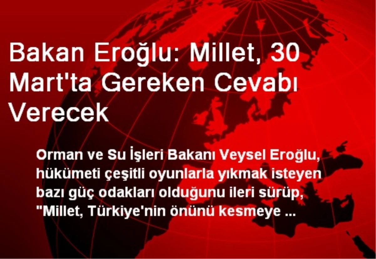 Bakan Eroğlu: Millet, 30 Mart\'ta Gereken Cevabı Verecek