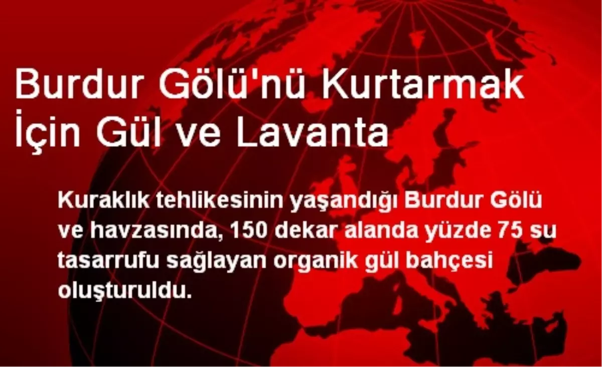 Burdur Gölü\'nü Kurtarmak İçin Gül ve Lavanta