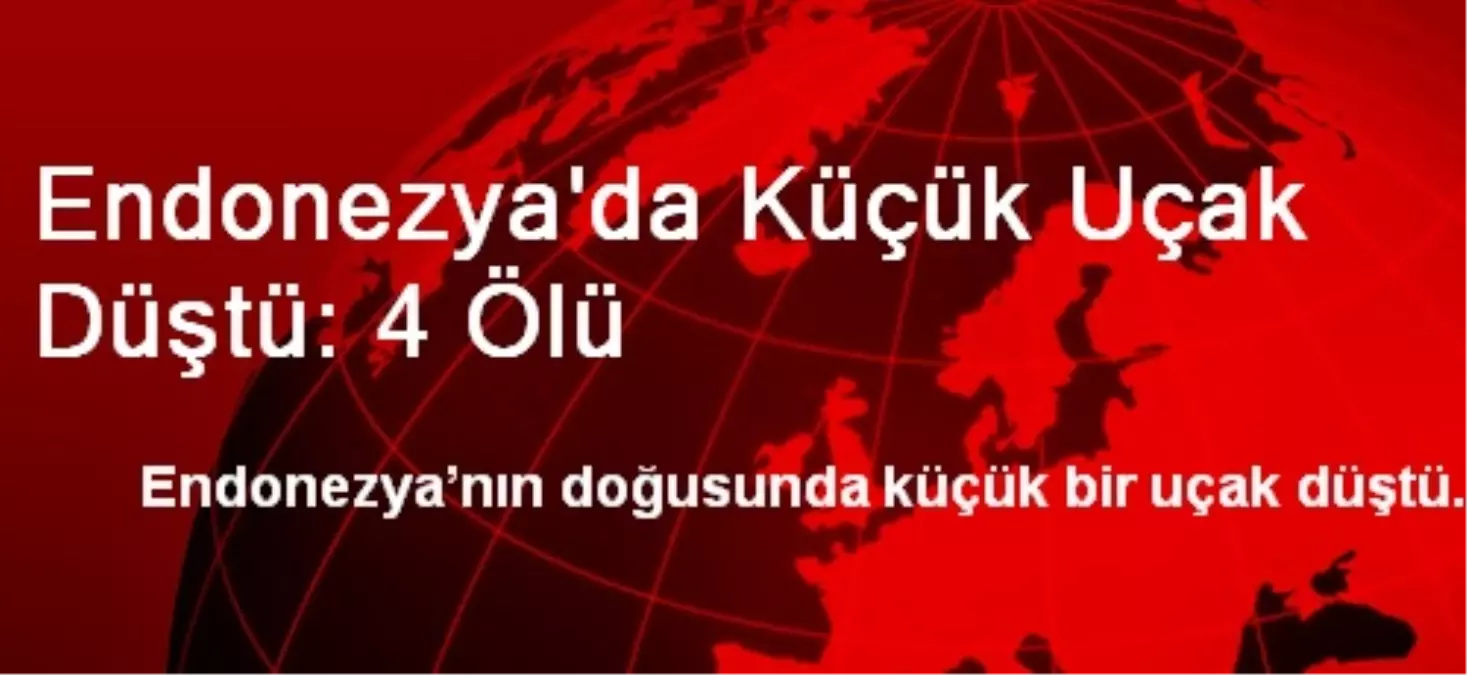 Endonezya\'da Küçük Uçak Düştü: 4 Ölü