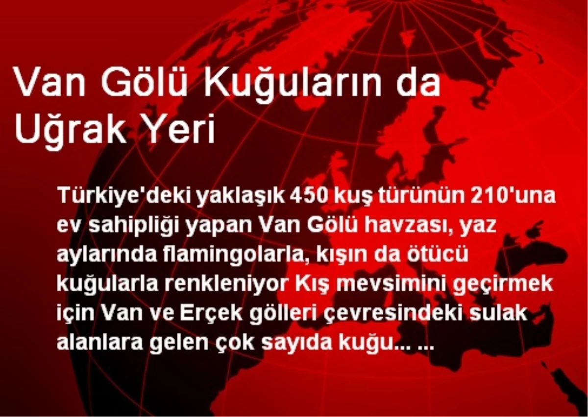 Van Gölü Kuğuların da Uğrak Yeri