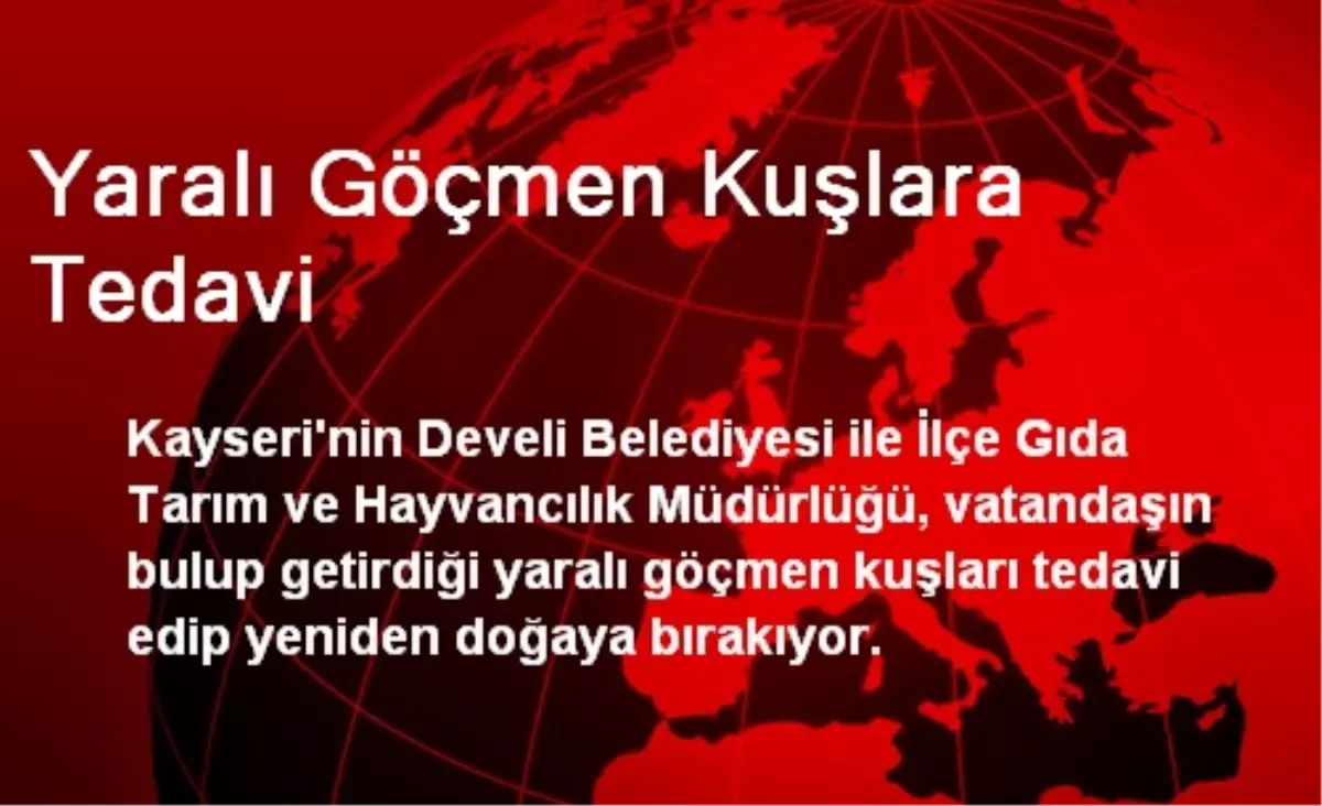 Yaralı Göçmen Kuşlara Tedavi