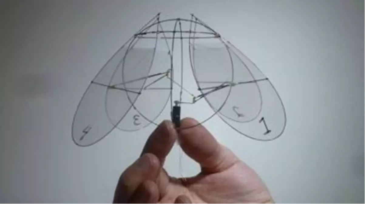 Kanat Çırparak Uçan İlk Makine