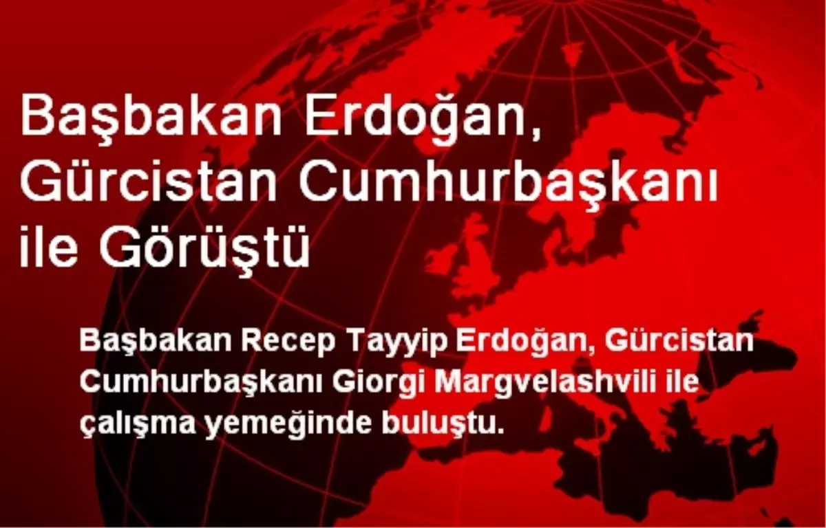 Başbakan Erdoğan, Gürcistan Cumhurbaşkanı ile Görüştü