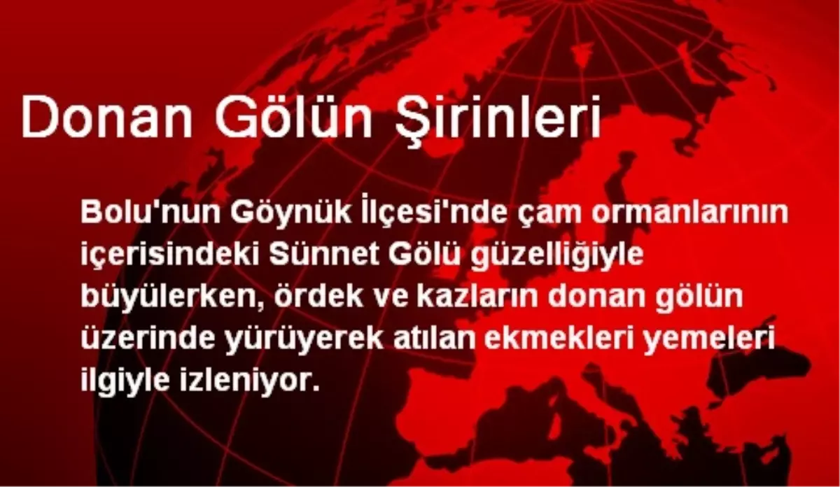 Donan Gölün Şirinleri