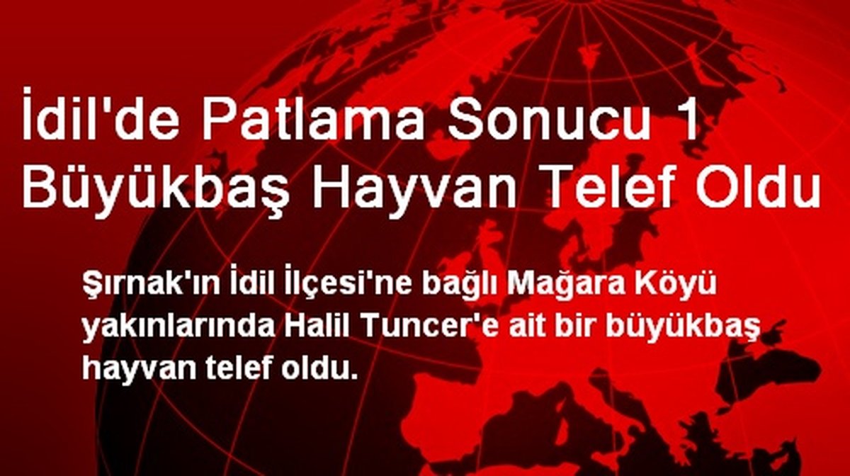 İdil\'de Patlama Sonucu 1 Büyükbaş Hayvan Telef Oldu