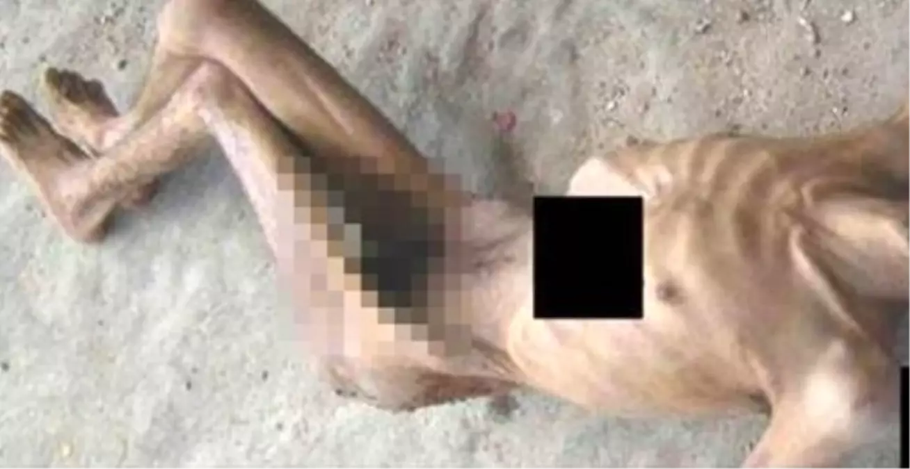 Suriye\'de İnsanlık Dışı Görüntüler