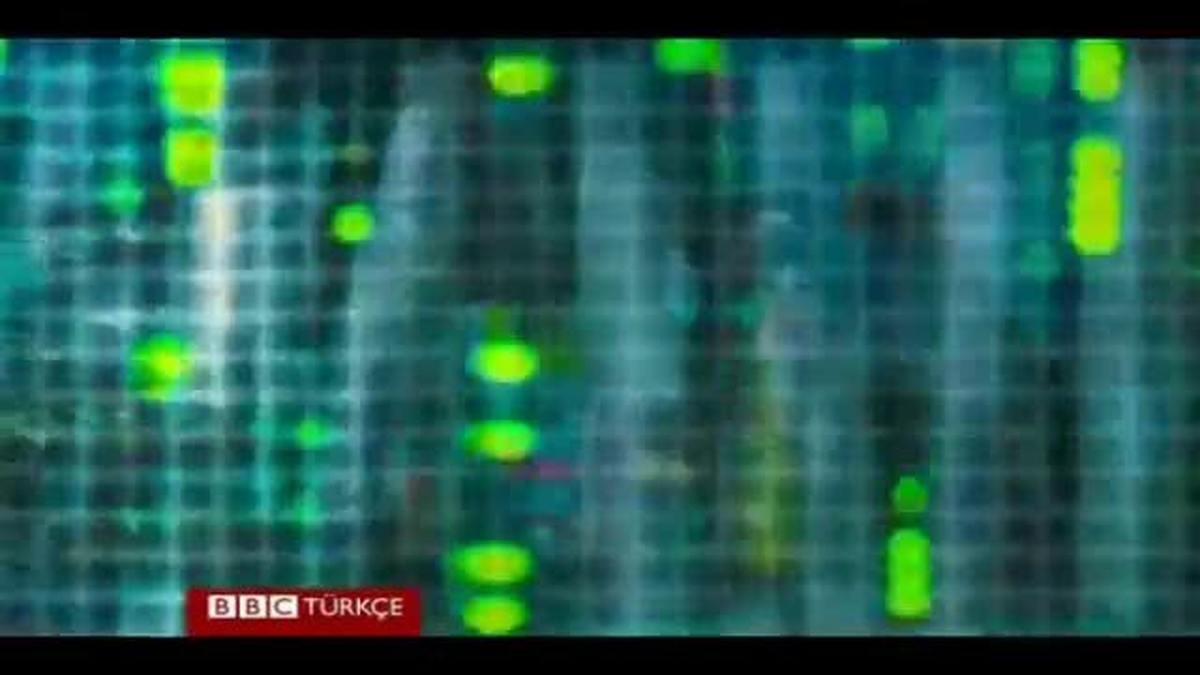 Almanya\'da Her Beş Kişiden Birinin Bilgileri Çalındı