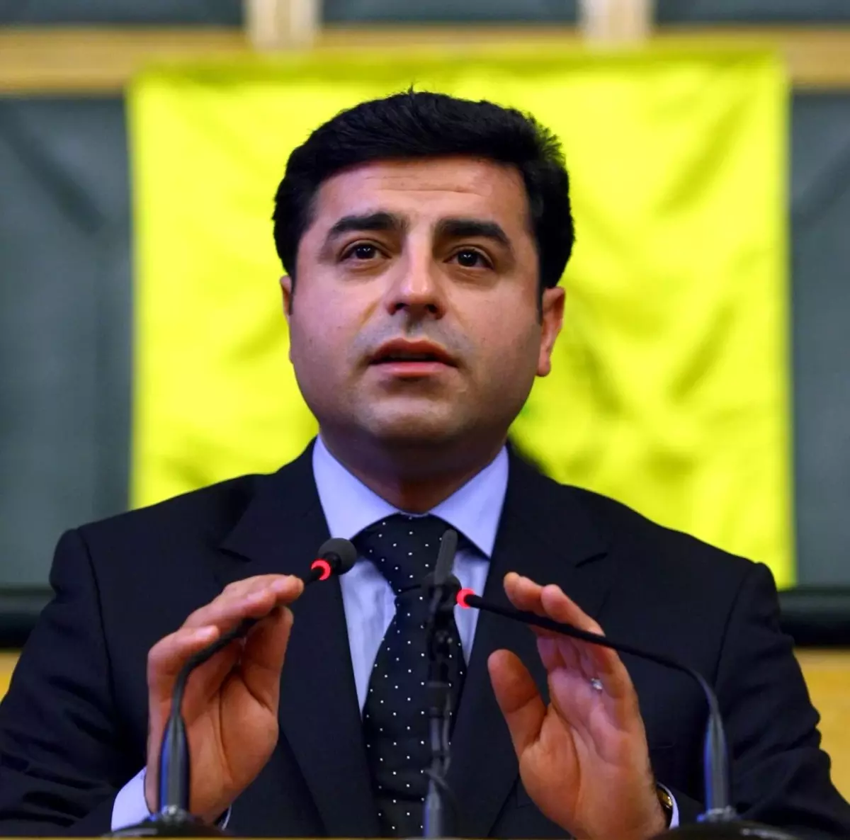 Demirtaş: HSYK\'yı Cumhurbaşkanı\'nın Tereddütsüz Veto Etmesi Gerekir (2)