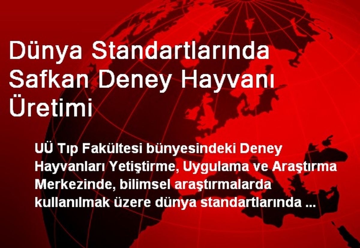 Dünya Standartlarında Safkan Deney Hayvanı Üretimi