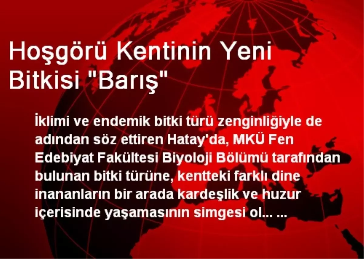 Hoşgörü Kentinin Yeni Bitkisi "Barış"