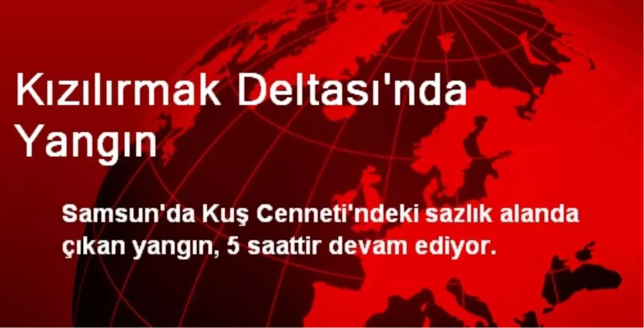 Kızılırmak Deltası\'nda Çıkan Yangın Devam Ediyor