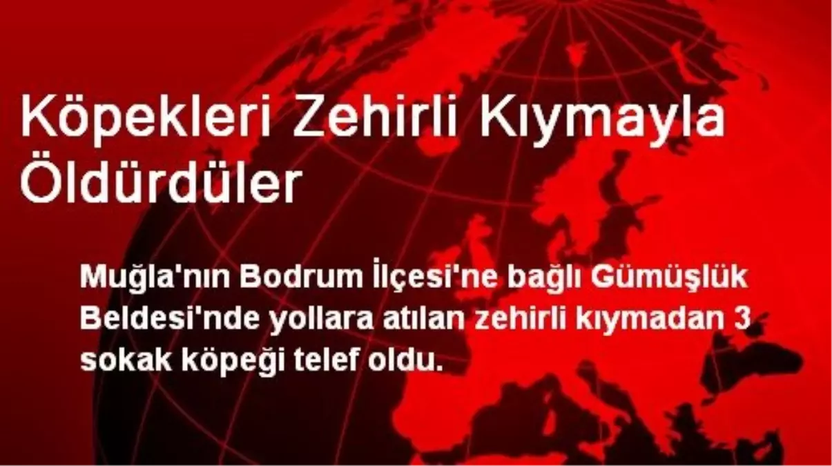 Köpekleri Zehirli Kıymayla Öldürdüler