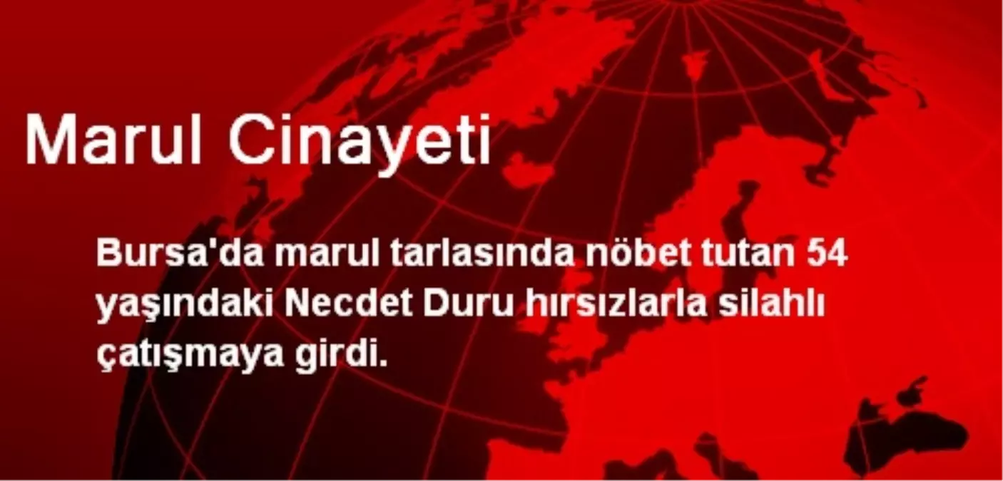 Bursa\'da Marul Cinayeti