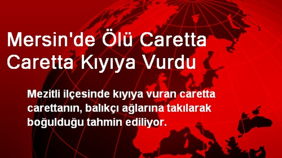 Mersin\'de Ölü Caretta Caretta Kıyıya Vurdu