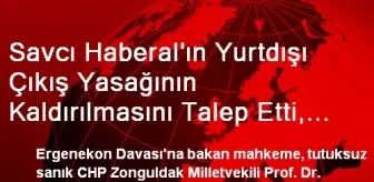 Savcı Haberal'ın Yurtdışı Yasağının Kaldırılmasını İstedi