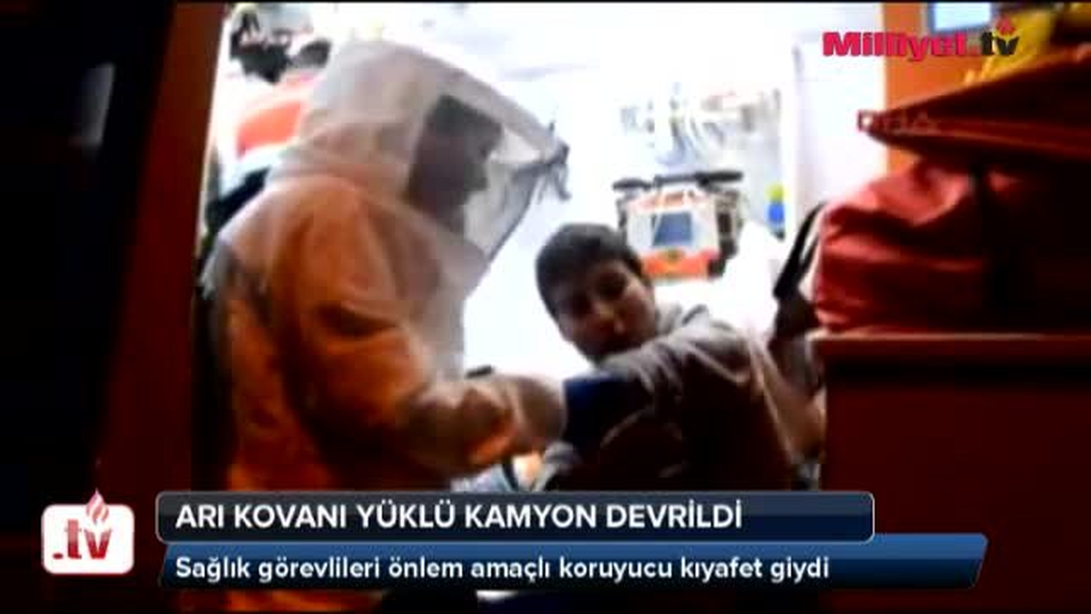 Muğla\'da 400 Arı Kovanı Yerlere Saçıldı