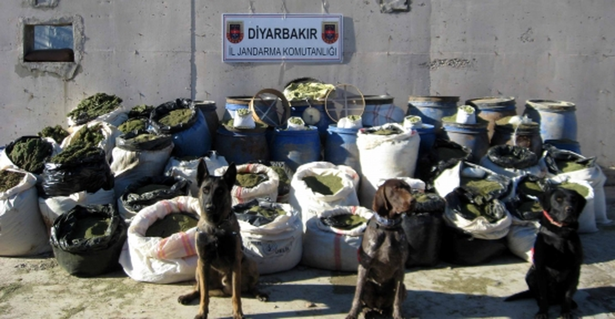 Diyarbakır\'da Jandarma 1 Ton 300 Kilo Esrar Ele Geçirdi