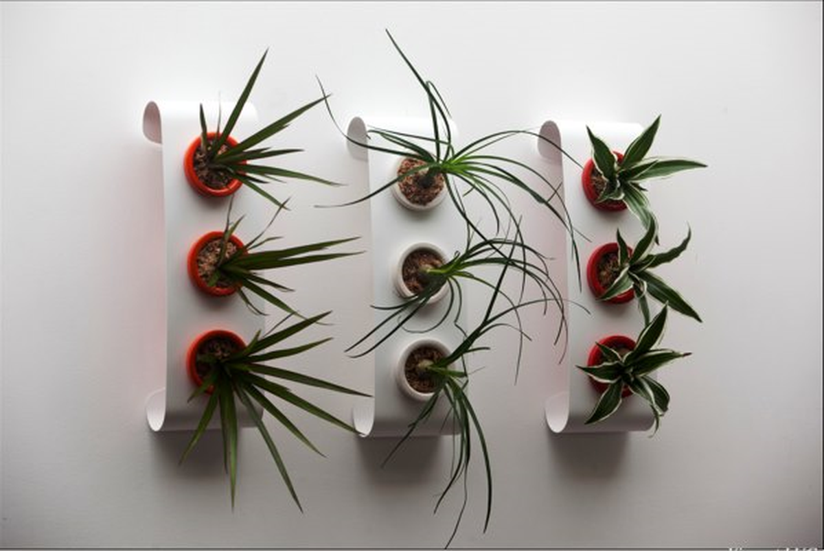 Flowerbox ile Her Yer Çiçek Açacak
