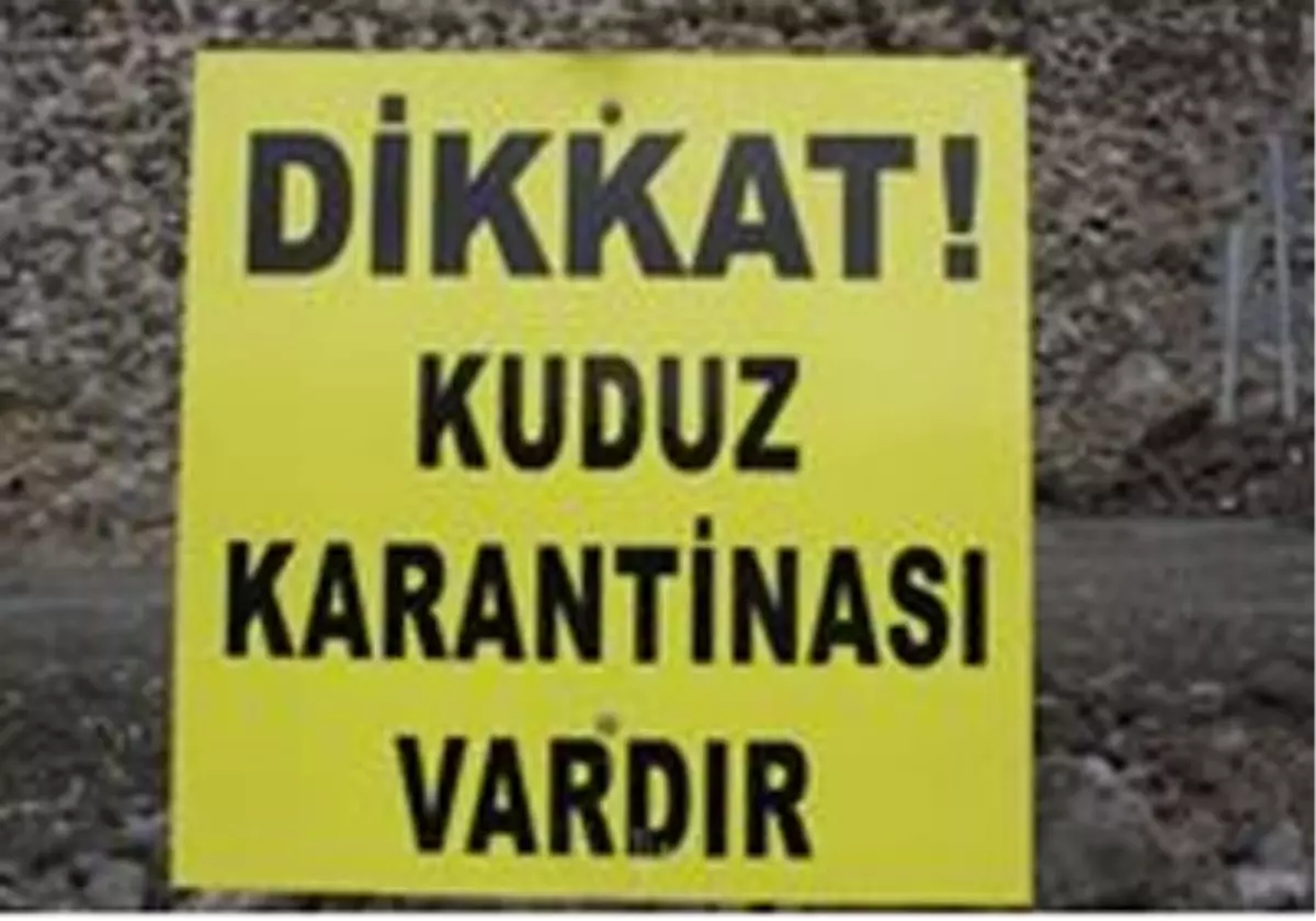 Iğdır\'da Kuduz Vakası