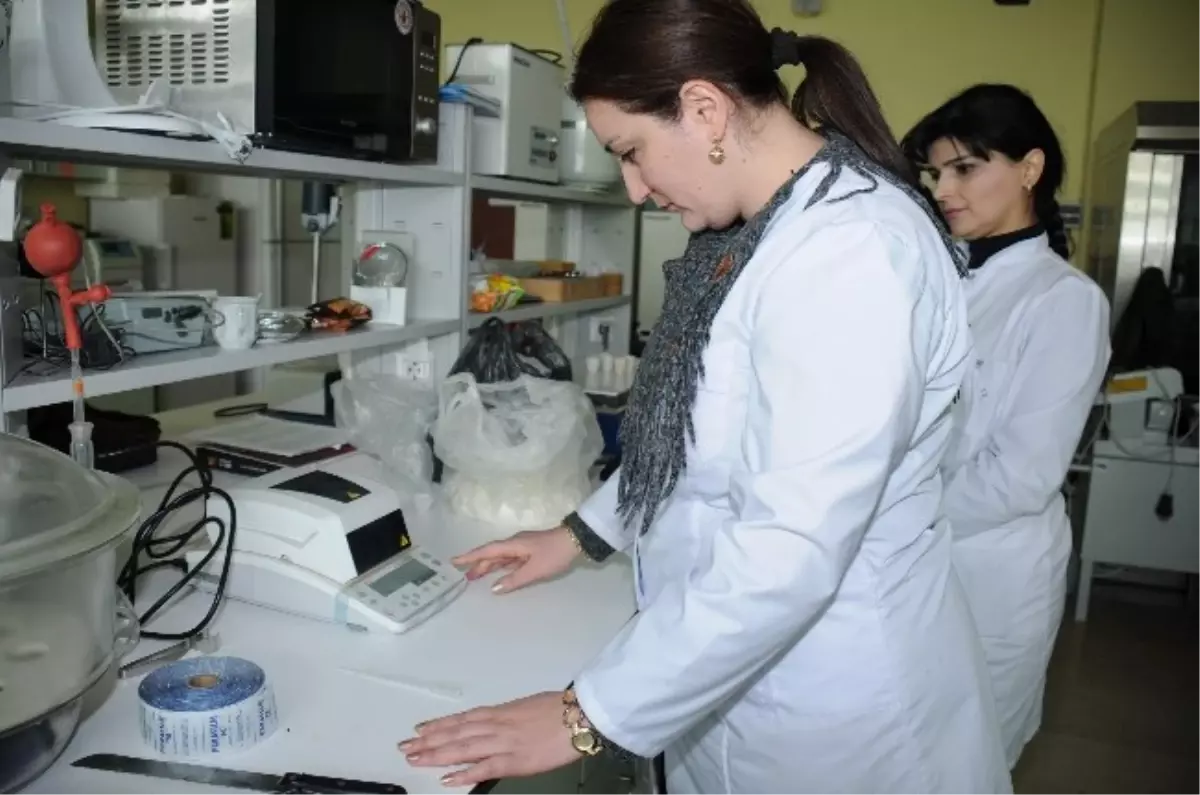 Iğdır Üniversitesi Komşu Ülkelerin Akademisyenleri İçin Cazibe Merkezi Oldu