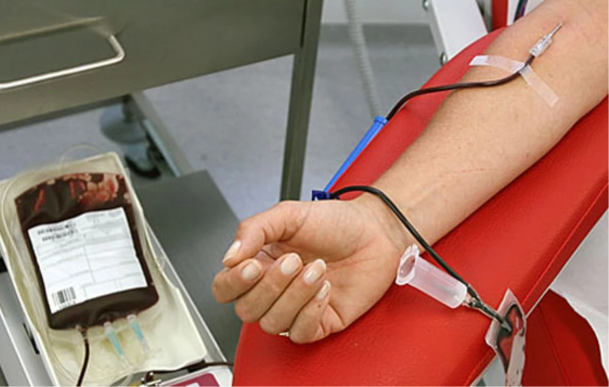Nizip\'te Kan Bağışı Kampanyası