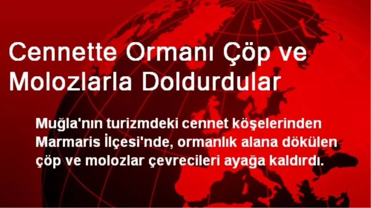 Cennette Ormanı Çöp ve Molozlarla Doldurdular