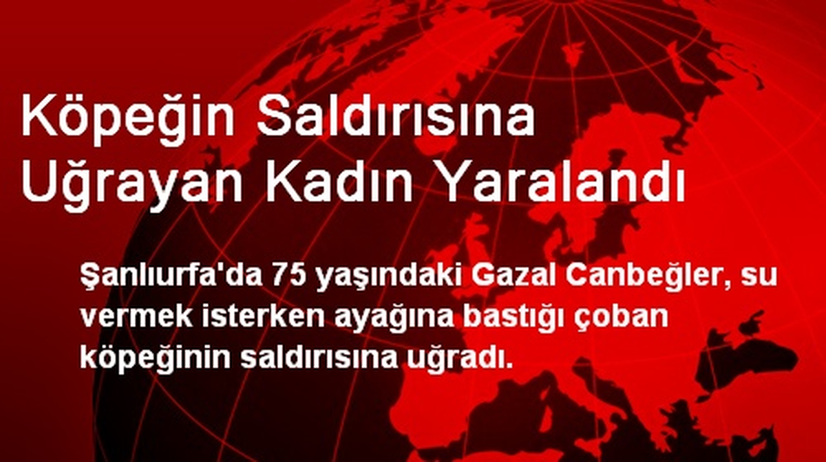 Köpeğin Saldırısına Uğrayan Kadın Yaralandı