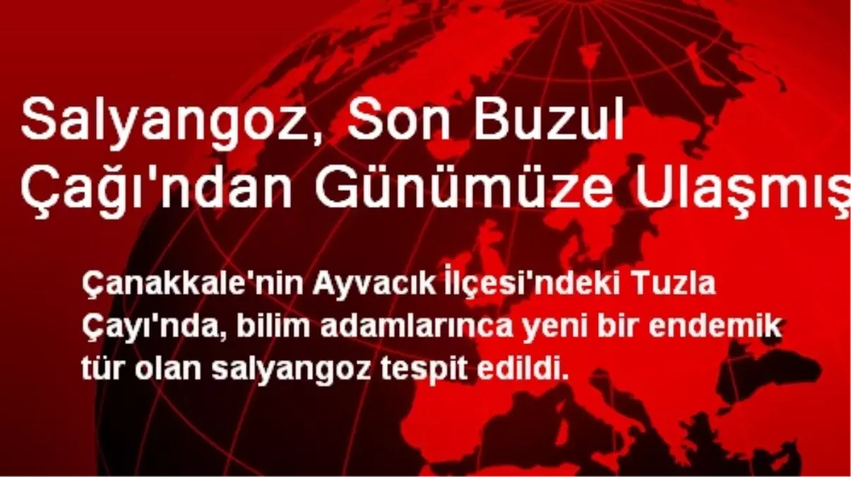 Salyangoz, Son Buzul Çağı\'ndan Günümüze Ulaşmış