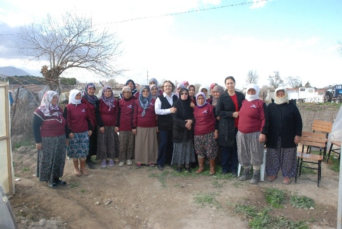 Denizli\'den Avrupa\'ya İlk Kez Ceviz Fidanı İhracatı