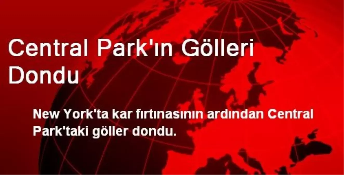 Central Park\'ın Gölleri Dondu