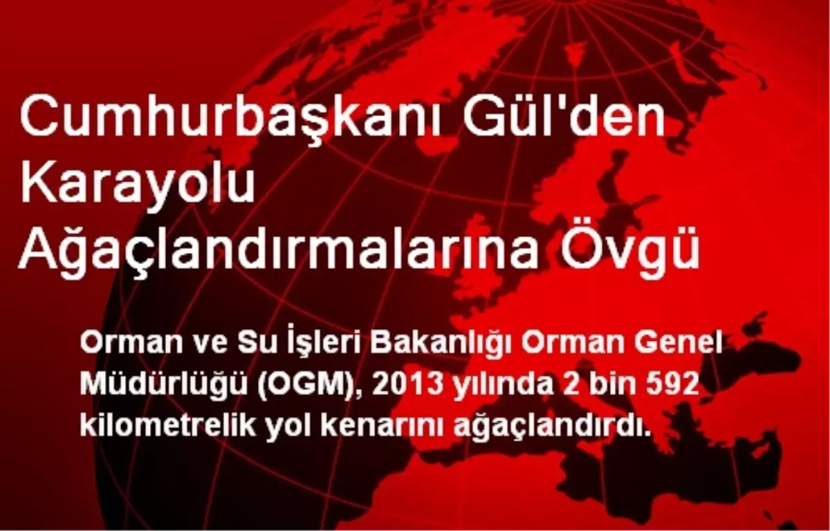 Cumhurbaşkanı Gül\'den Karayolu Ağaçlandırmalarına Övgü