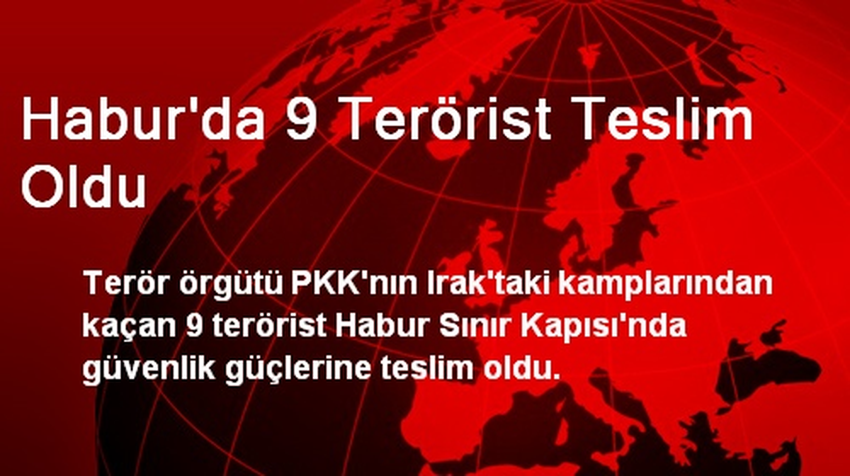 Habur\'da 9 Terörist Teslim Oldu