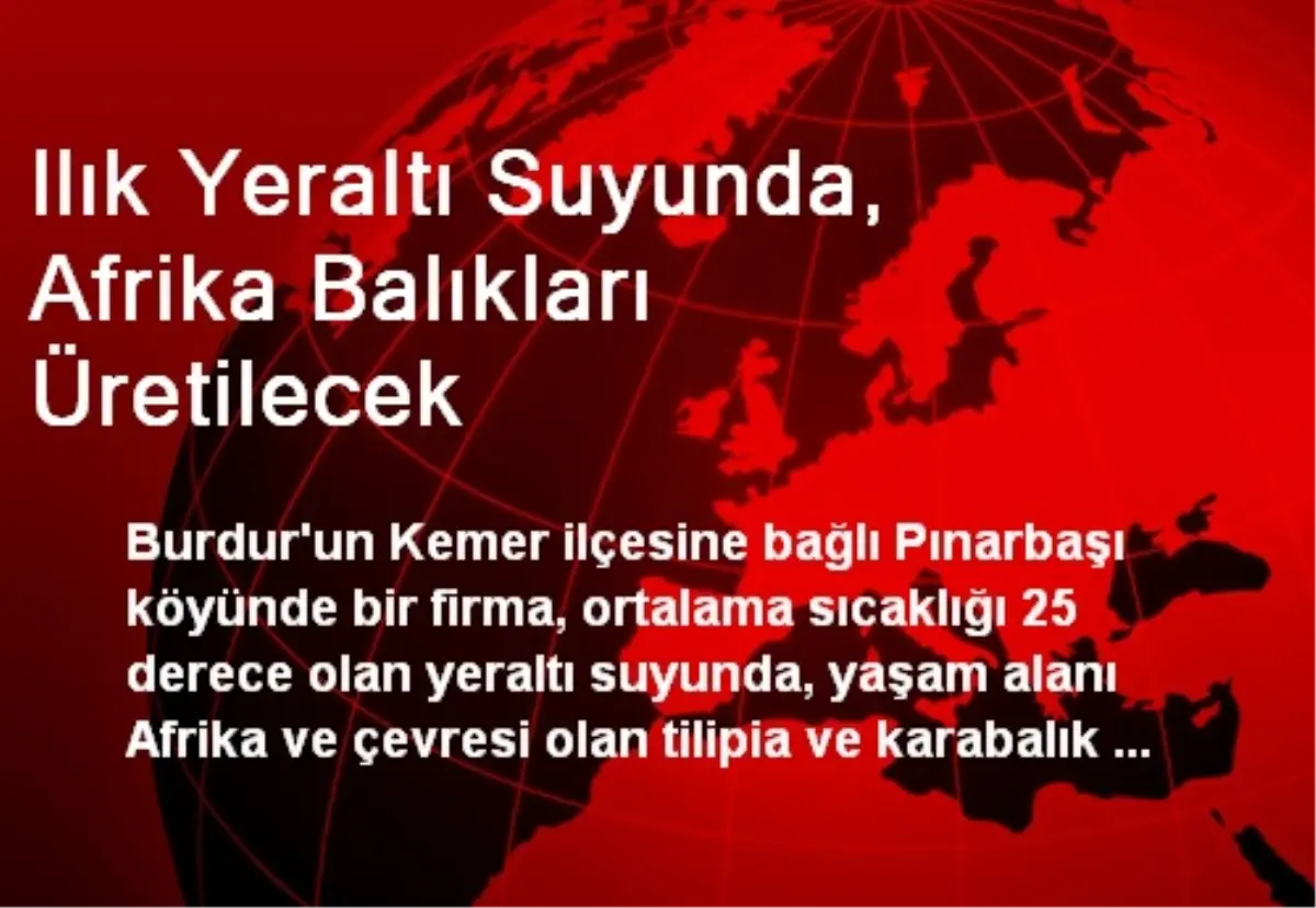 Ilık Yeraltı Suyunda, Afrika Balıkları Üretilecek