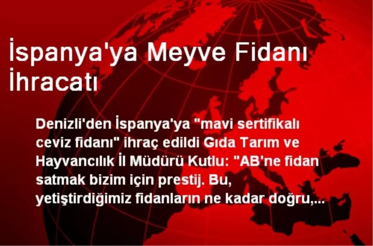 İspanya\'ya Meyve Fidanı İhracatı