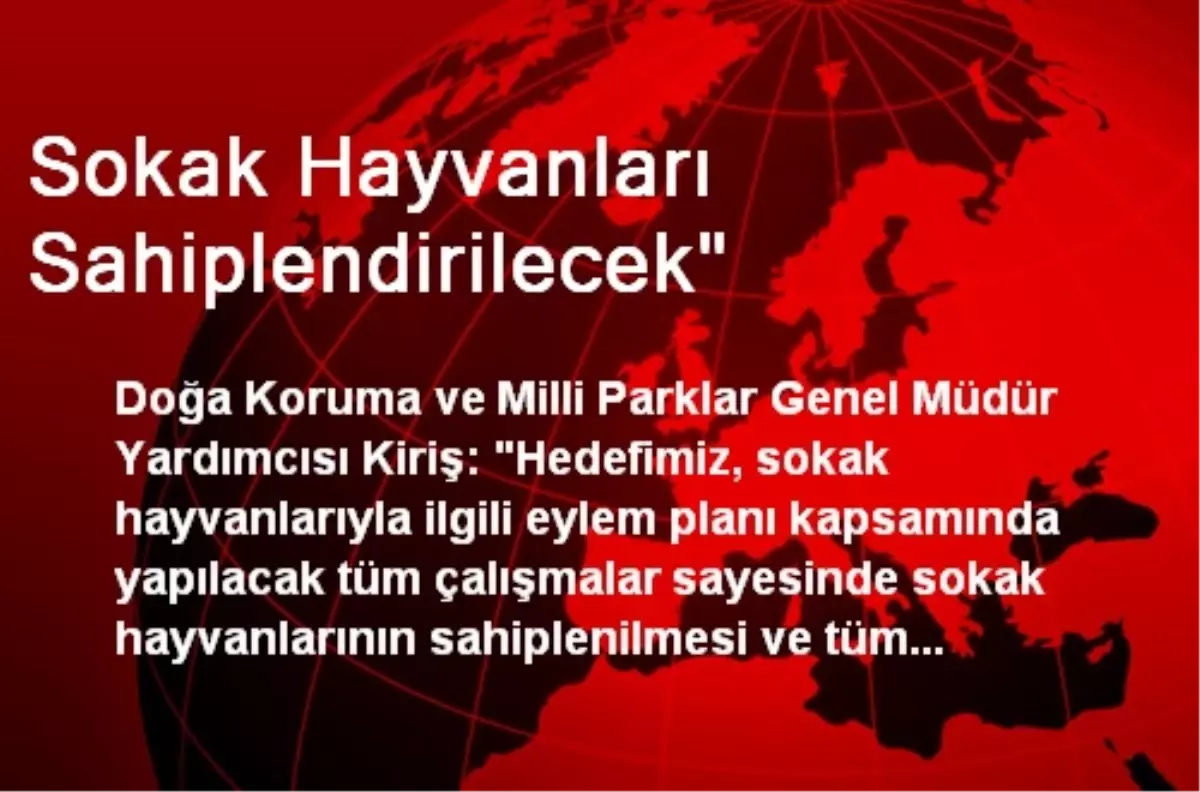 Sokak Hayvanları Sahiplendirilecek"