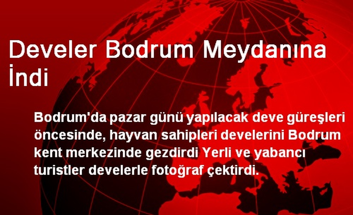 Develer Bodrum Meydanına İndi