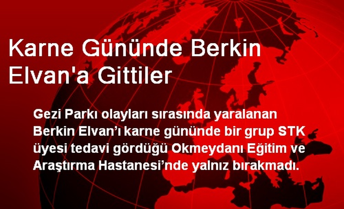 Karne Gününde Berkin Elvan\'a Gittiler