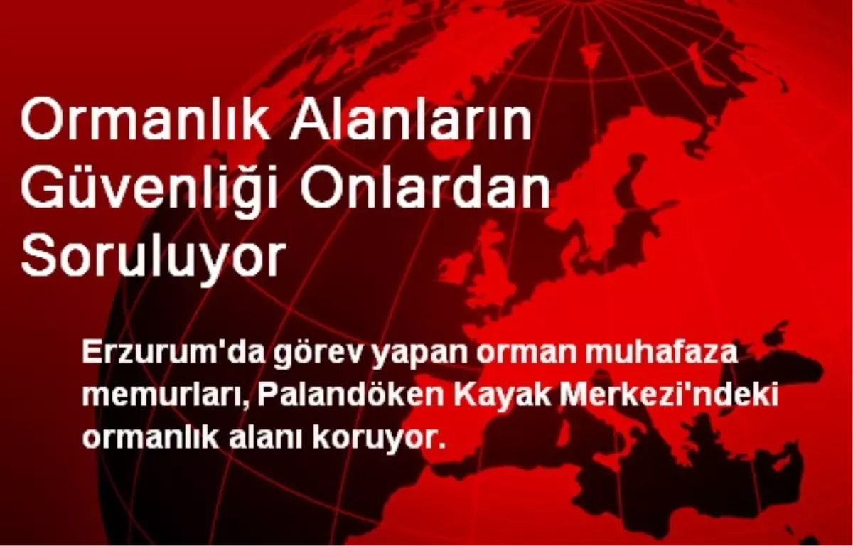 Ormanlık Alanların Güvenliği Onlardan Soruluyor