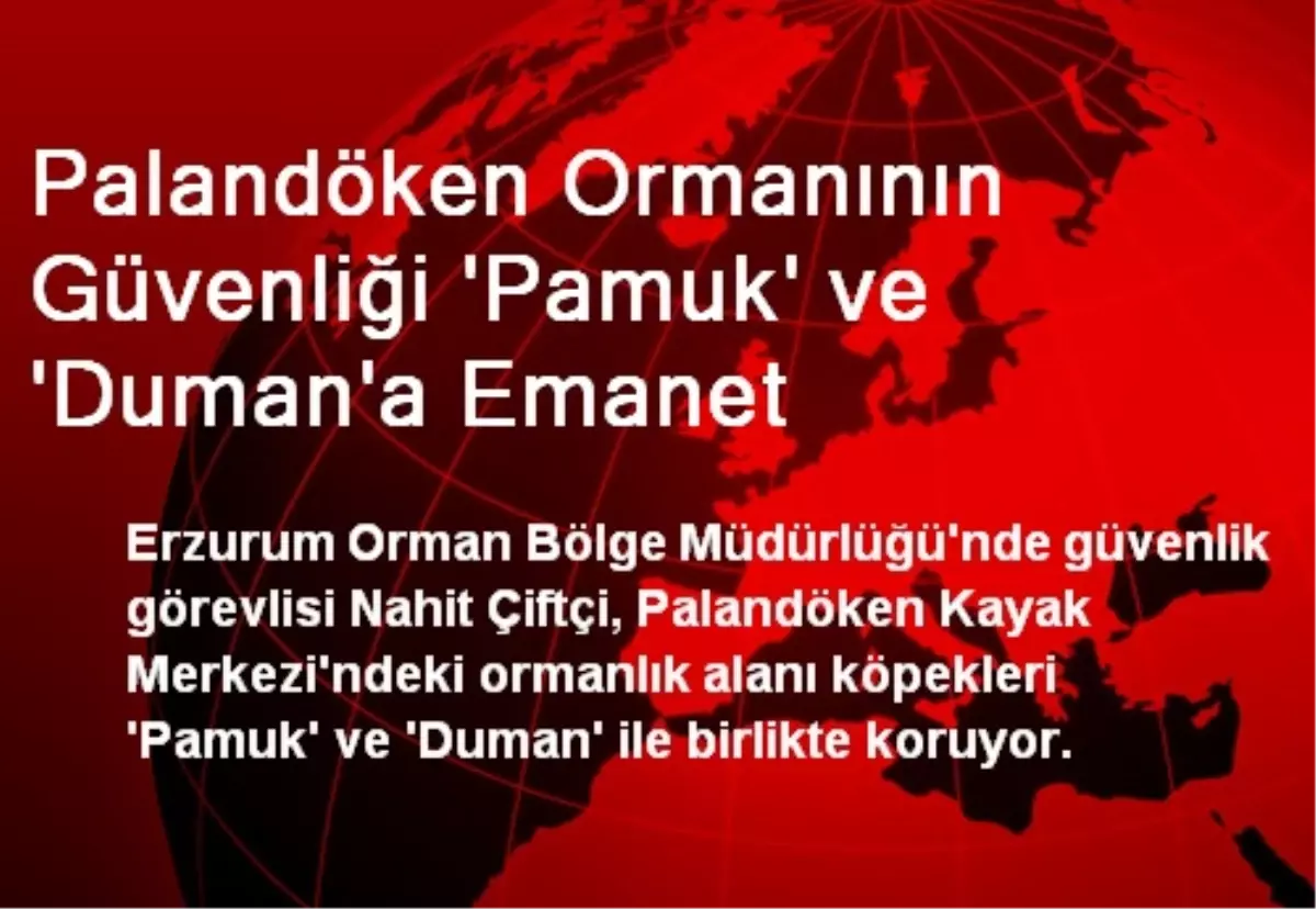 Palandöken Ormanının Güvenliği Pamuk ve Duman\'a Emanet