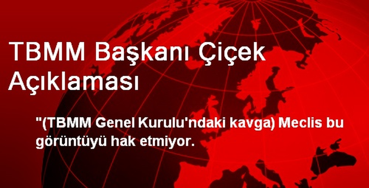 TBMM Başkanı Çiçek Açıklaması