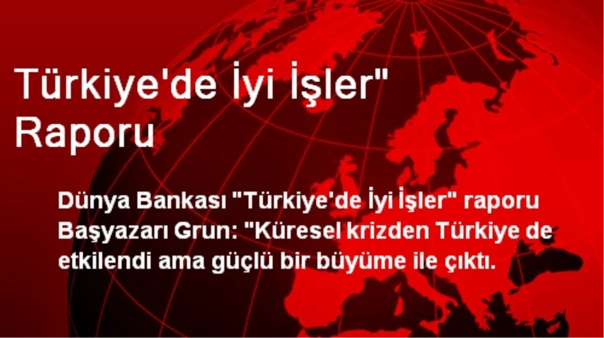 Türkiye\'de İyi İşler" Raporu