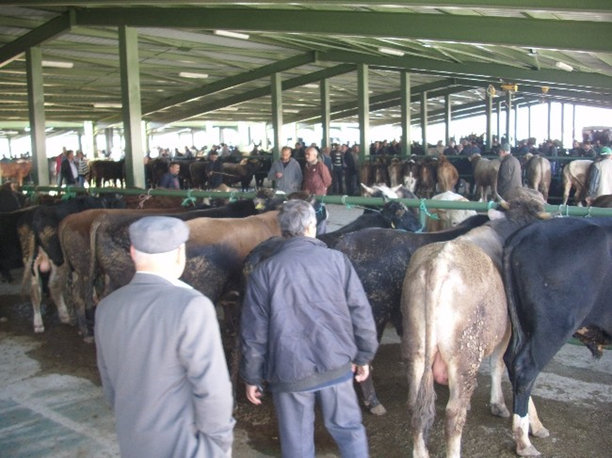 Tavşanlı Hayvan Pazarı Kapatıldı