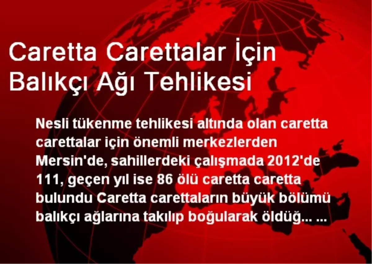 Caretta Carettalar İçin Balıkçı Ağı Tehlikesi