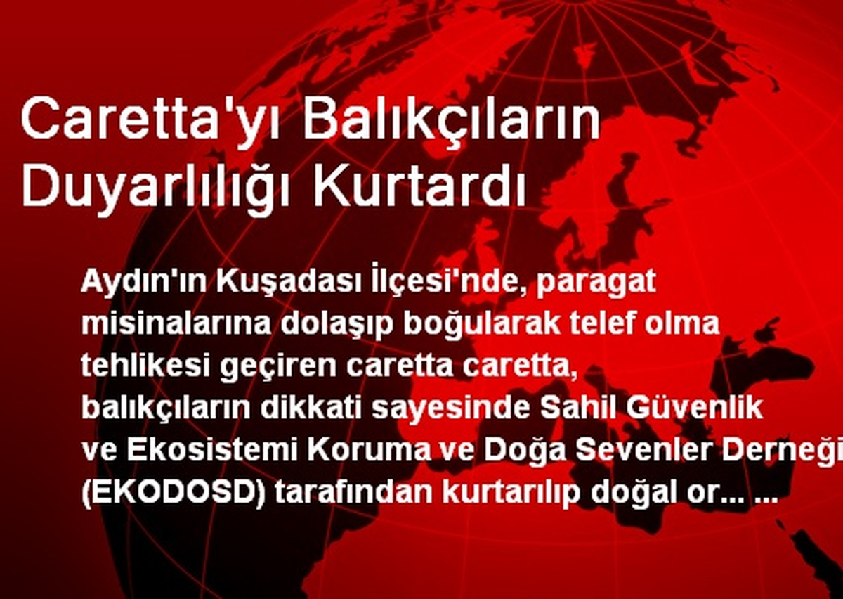 Caretta\'yı Balıkçıların Duyarlılığı Kurtardı