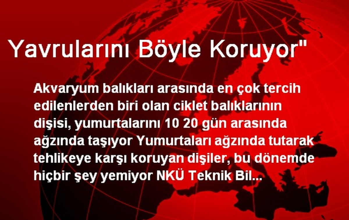 Yavrularını Böyle Koruyor'