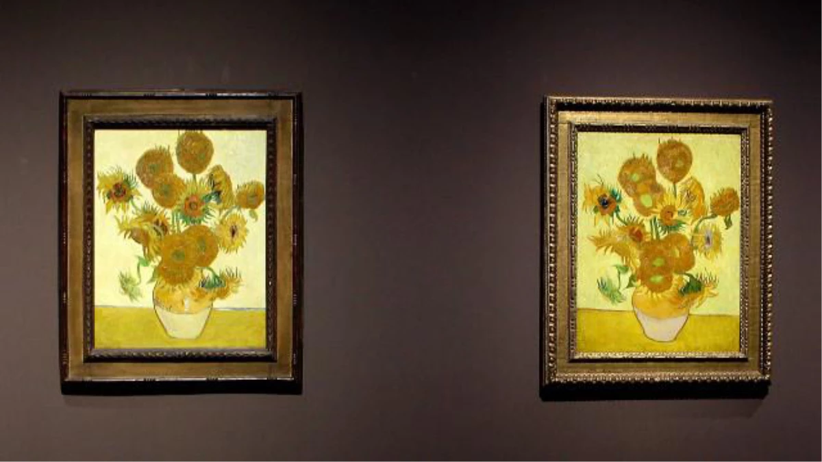 Ünlü Ressam Van Gogh\'un \'Ayçiçekleri\' İlk Kez Buluşuyor
