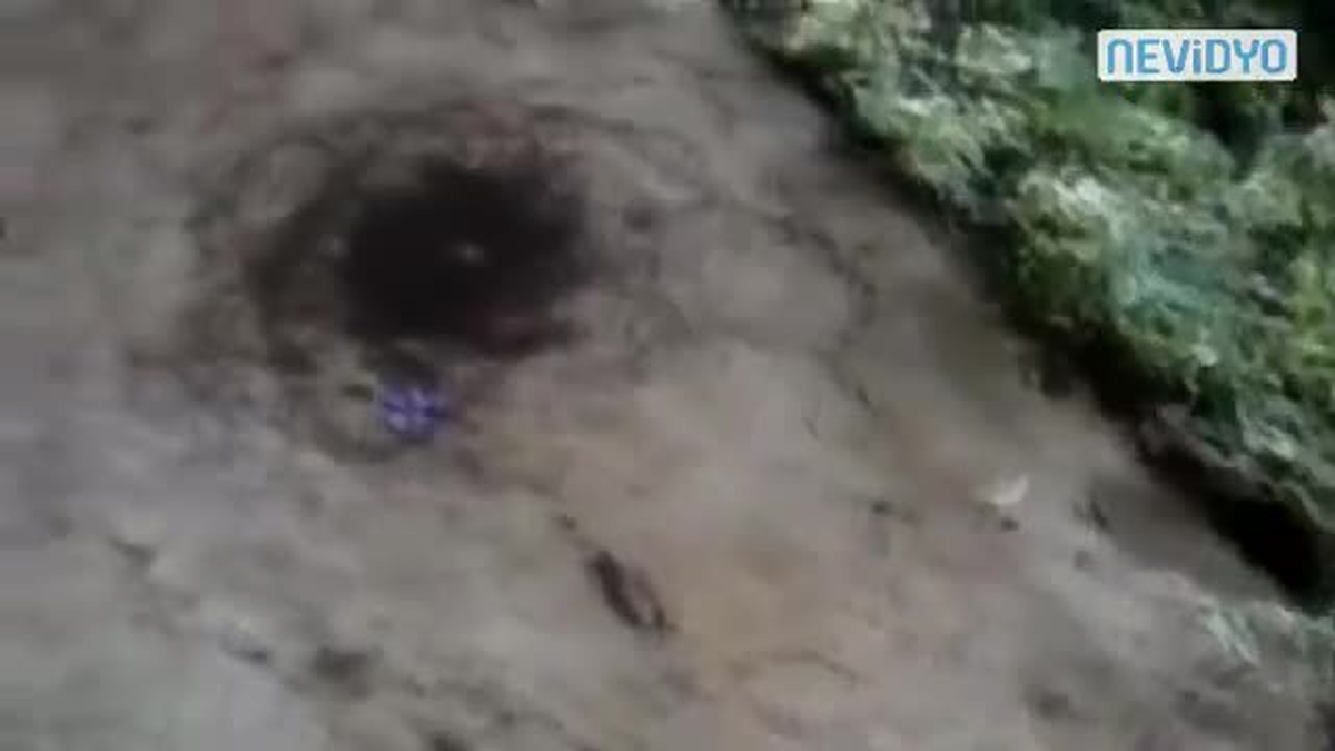 Yüz Binlerce Karınca Birden!